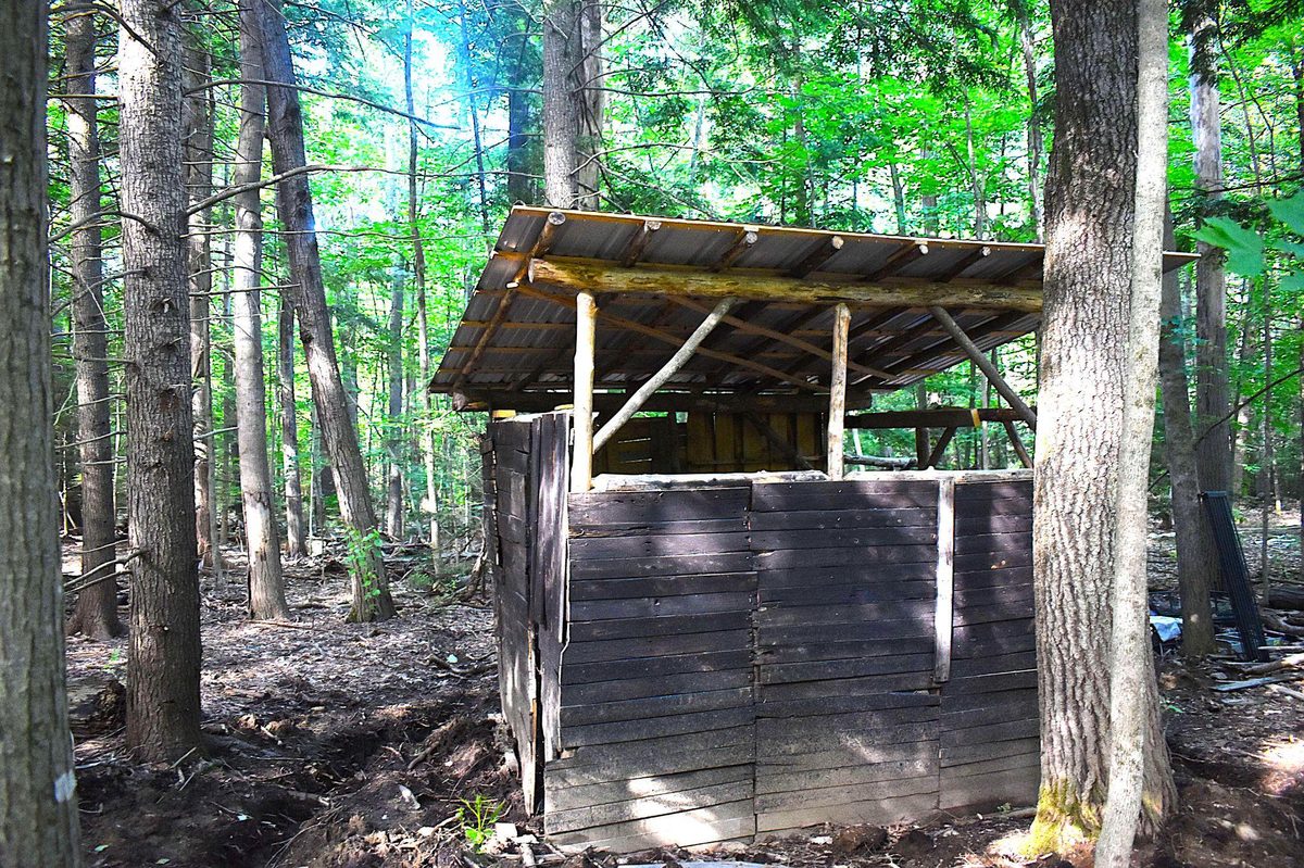 Completed timber shed exterior in woods