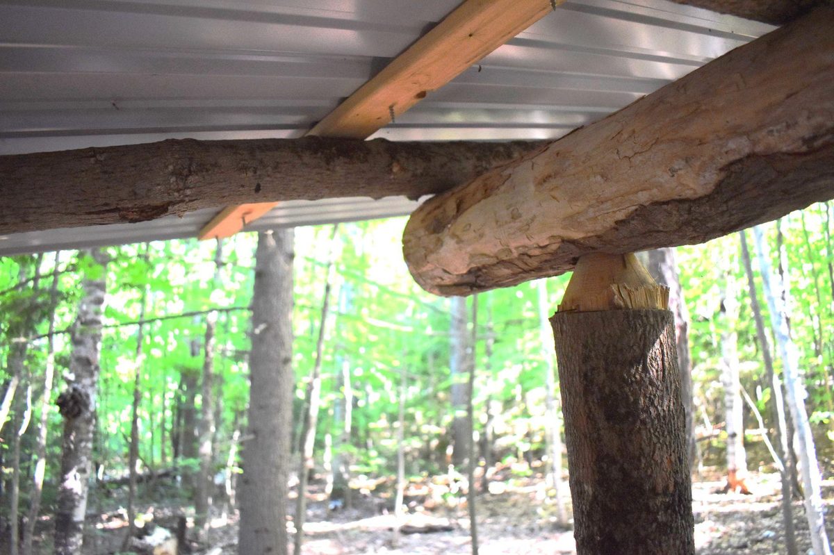 Interior showing round log joinery and metal roof